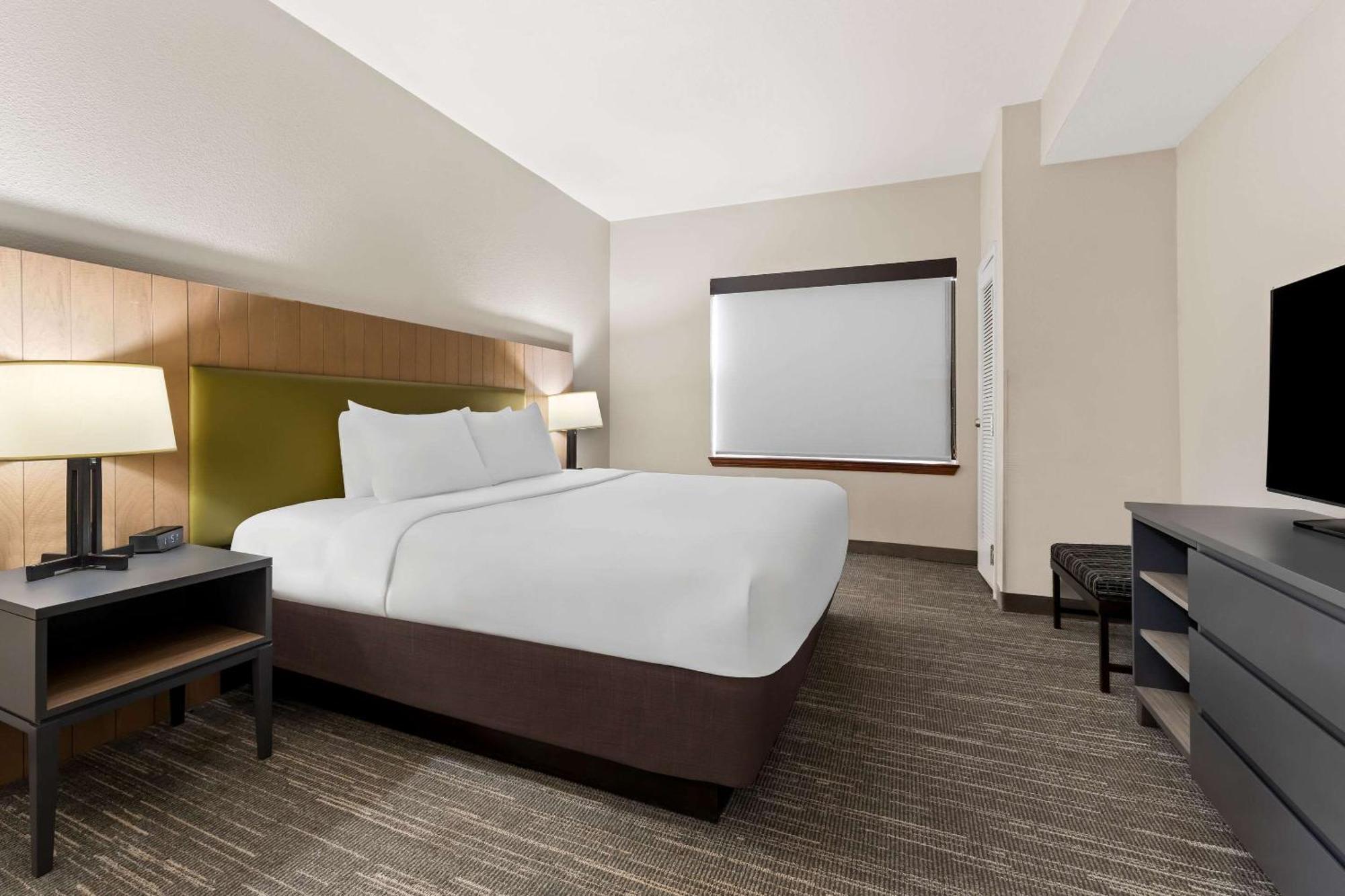 One-Bedroom Suite,1629400170:JPEG