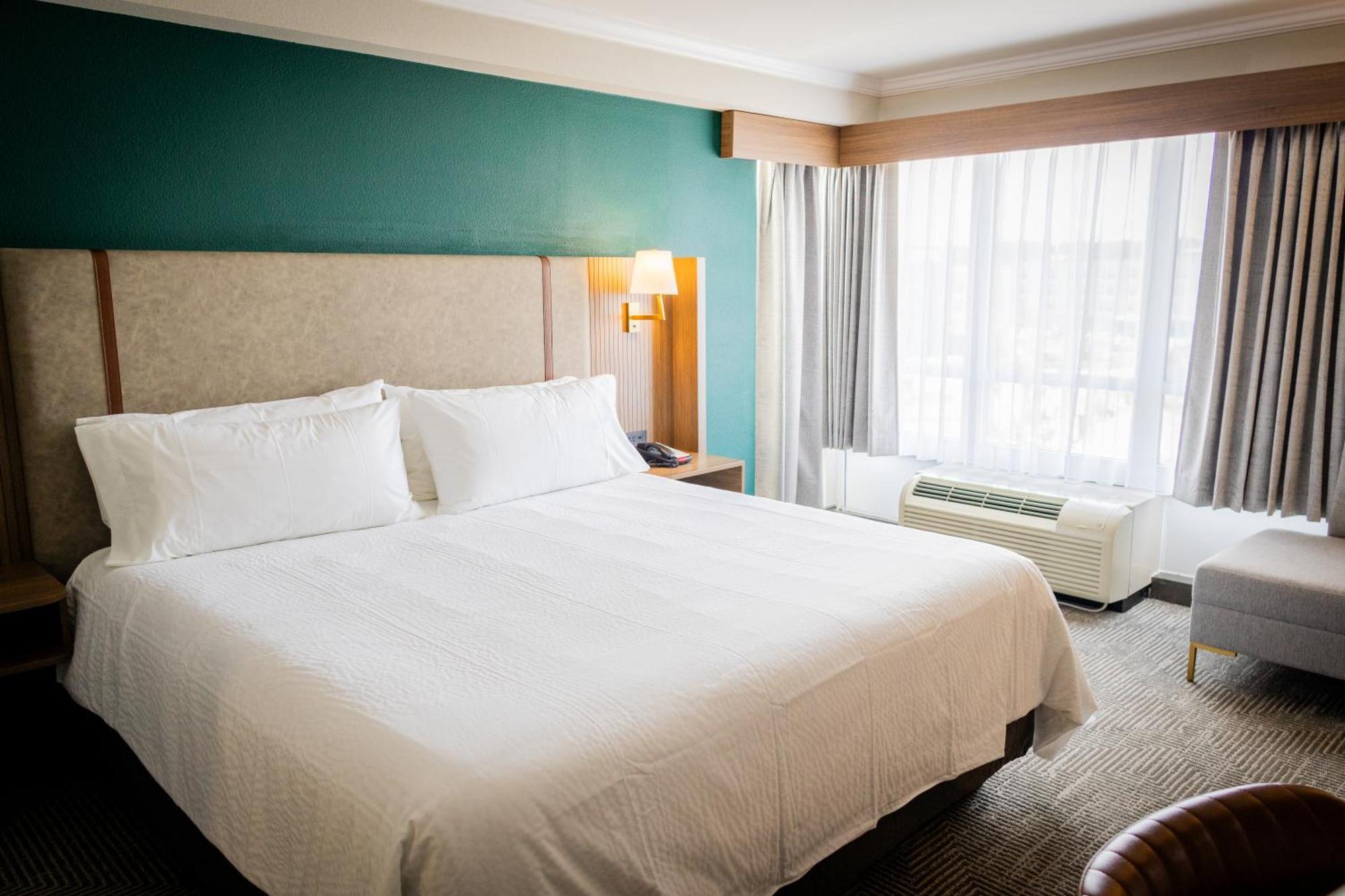 One-Bedroom King Suite,1742725788:JPEG